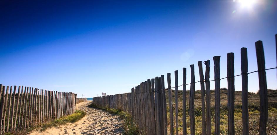 L'Escale Catalane, 50M De La Plage, 36M2, Parking Кане Экстерьер фото